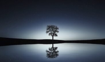 Почему с возрастом друзей становится меньше: мудрость Авиценны и Хайяма, которая объясняет всё