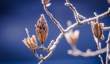 Фотинья Колодезница: почему 2 апреля вода становится целебной и как привлечь жениха