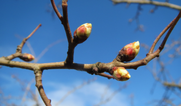 Проверьте прогноз перед поездкой за город: метеорологи предупреждают о непогоде в регионах РФ в последние дни апреля