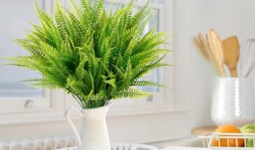 Бостонский папоротник: растение, которое очищает воздух и создаёт «зелёный водопад» в доме