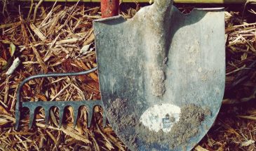 Промерзшая почва — ловушка для садоводов: почему ранняя посадка губит урожай