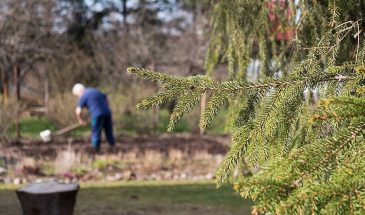 Дача после зимы: чек-лист из 5 пунктов, который спасёт от ремонта
