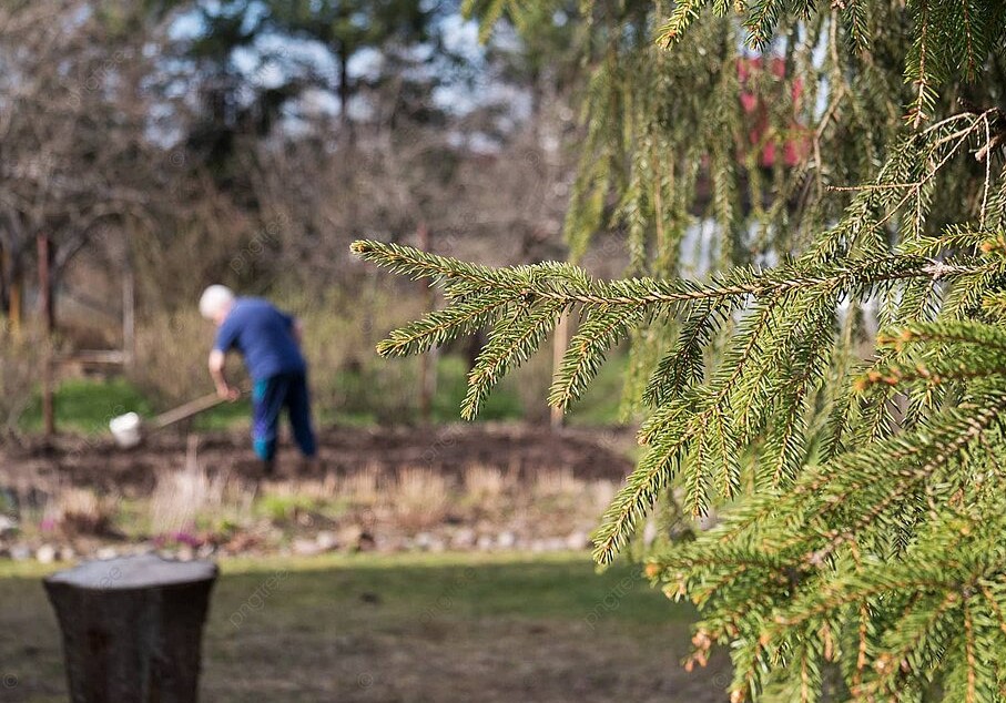 Дача после зимы: чек-лист из 5 пунктов, который спасёт от ремонта