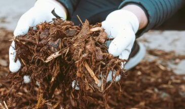 Как защитить растения от резкого похолодания на Пасху: одна хитрость с укрытием, которая спасёт урожай