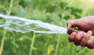 «Хватит заливать огород!»: как поливать дачу, чтобы растения благодарили, а счёт за воду не доводил до инфаркта
