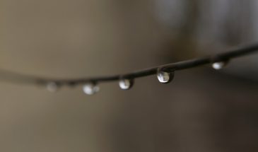 Хороводница 15 апреля: почему в этот день нельзя работать в огороде и что сулит примета про утреннюю росу