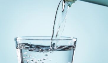 Минералка для рассады: один стакан, который заменяет удобрения и ускоряет рост в два раза