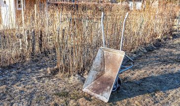 Нет навоза? 5 доступных замен, которые сделают грядку под огурцы в 2 раза урожайнее