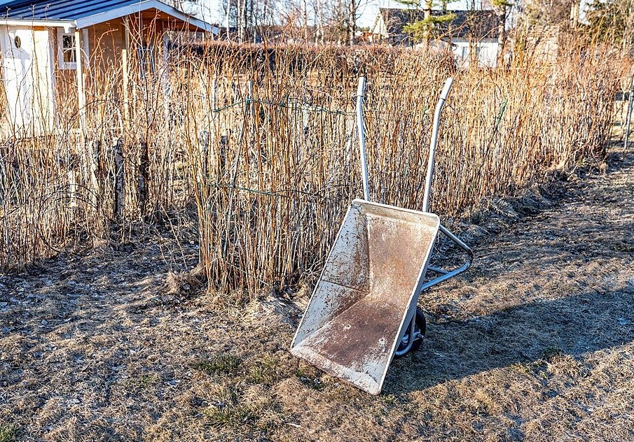 Нет навоза? 5 доступных замен, которые сделают грядку под огурцы в 2 раза урожайнее