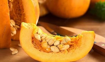 Лучшие сорта тыквы для семечек: один выбор, который окупит весь огород — и здоровье поправит