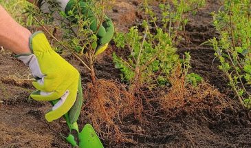 Навский четверг 16 апреля: что можно сажать, а что лучше отложить — правило, которое спасёт урожай