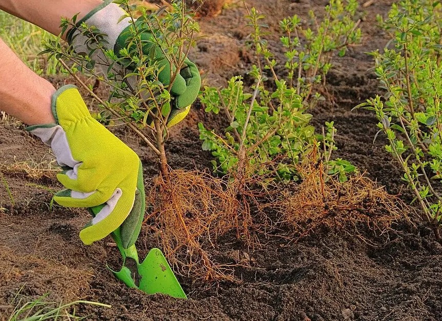 Навский четверг 16 апреля: что можно сажать, а что лучше отложить — правило, которое спасёт урожай