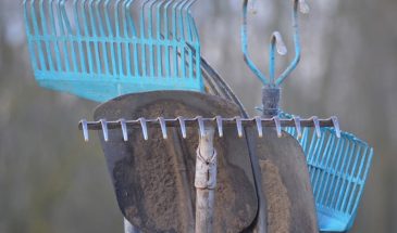 Развеян главный миф о весенних работах на даче: одна ошибка, которая губит почву