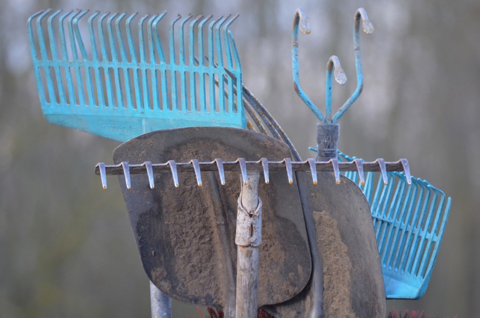 Развеян главный миф о весенних работах на даче: одна ошибка, которая губит почву