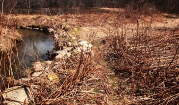 6 апреля — Великий Понедельник: почему в этот день нельзя ссориться и что сулит примета