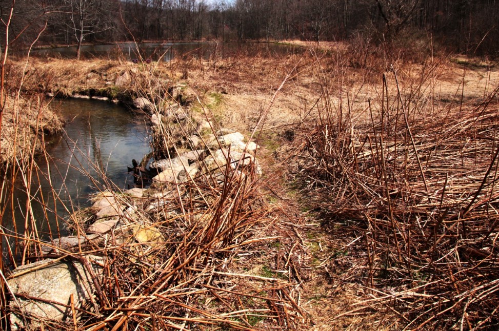 6 апреля — Великий Понедельник: почему в этот день нельзя ссориться и что сулит примета