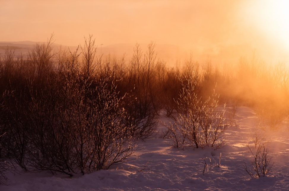5 апреля — Никонов день: почему в этот день нельзя лениться и что сулит погода
