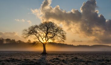 6 апреля — Великий Понедельник: три запрета, о которых нужно знать