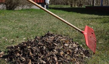 День Фомаиды 26 апреля: какие огородные занятия приветствуются, а какие — под запретом