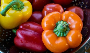 Толстостенные перцы для теплицы: 8 сортов с мясистой стенкой от 8 мм — выбирайте, чтобы не ошибиться