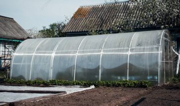 Популярный метод для теплицы: как «обхитрить» севооборот, если растут томаты, огурцы, перцы и баклажаны