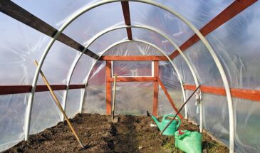 Популярные приёмы: готовим теплицу к рассаде