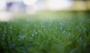 «6 мая — не ошибись!»: что категорически нельзя делать в день Юрия Вешнего