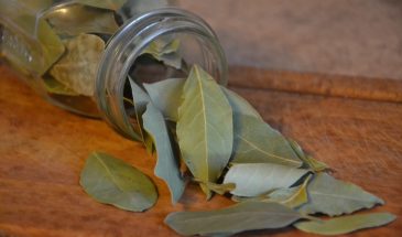 Лавровый лист в ботинках? Это не шутка, а спасение: копеечная специя убивает плесень лучше дорогой химии