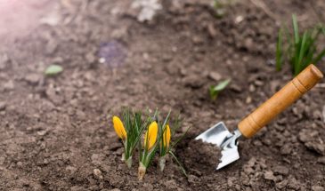 «Грядки, которые работают на вас»: простая подготовка, которая удваивает урожай