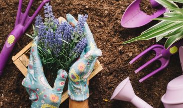 Май без этих 10 дел — и клумба станет разочарованием: что сделать сейчас, чтобы цветы цвели до заморозков