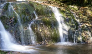 «Подземная водица, отмыкаем тебе пути вешние»: что скрывает традиция Вадима Ключника 22 апреля