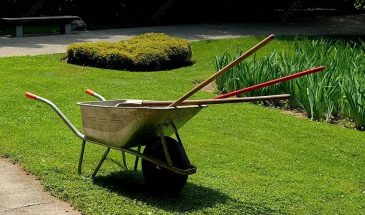 Апрель на даче: 5 культур, которые нельзя пропустить — иначе сезон останется без раннего урожая