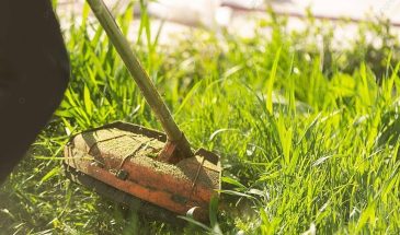 Можно ли косить траву во время Фоминой недели: разбираем традиции и церковную позицию