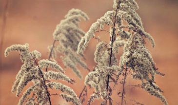 23 апреля: почему в этот день нельзя убираться и веселиться — церковные правила, о которых стоит знать