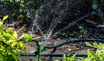 Май на даче: 5 ошибок, которые оставят вас без урожая — вы точно делаете хотя бы одну