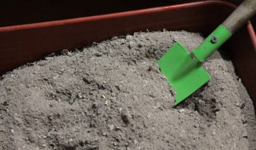 Секреты урожайности: продвинутые приёмы подкормки в мае