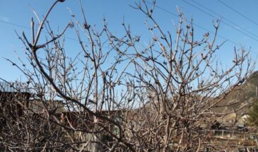 От Страстной пятницы до Пасхи: какие работы разрешены на даче, а что под запретом по народным приметам