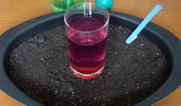 Защита без химии: биопрепараты и природные методы против вредителей