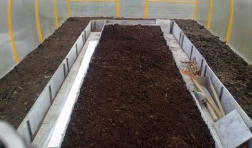 Обеззараживание теплицы: одна ошибка с почвой — и весь урожай погибнет от болезней