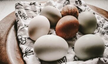 Сколько минут варить яйца: хитрость с таймером и они получаются идеально — для окрошки, детей и Пасхи