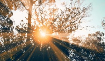 Когда убираться на кладбище перед Радоницей: правило, которое спасёт от нарушения традиций