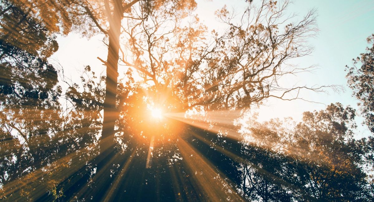 Когда убираться на кладбище перед Радоницей: правило, которое спасёт от нарушения традиций