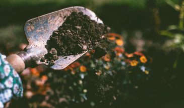 «3 мая — не трогай землю»: что категорически нельзя делать в день поминовения предков