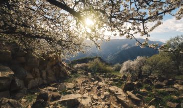 Мартын Лисогон 27 апреля: что нельзя делать, чтобы не обеднеть