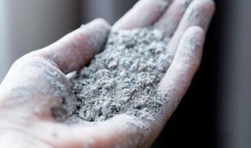 Первая подкормка томатов после пикировки: почему 10–14 дней — это закон, а не рекомендация