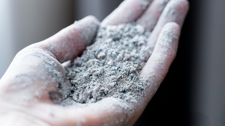 Первая подкормка томатов после пикировки: почему 10–14 дней — это закон, а не рекомендация