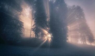 7 апреля только двое услышат этот стук: ангелы уже в пути — как распознать знак