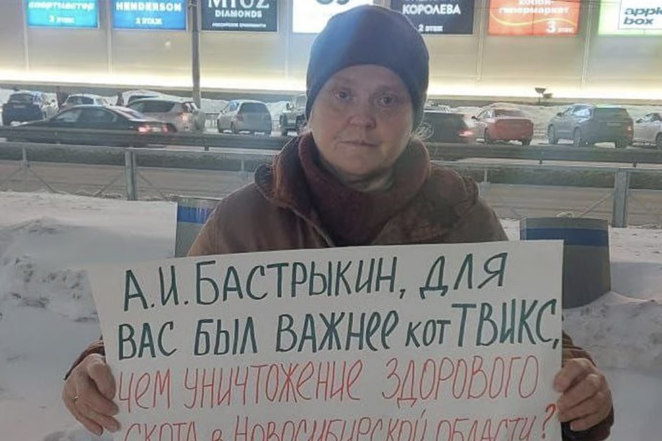 Уничтожение скота в Сибири ударит по кошельку: мясо и молоко подорожают, сёла опустеют