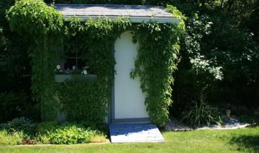 Регистрация построек на даче: новые правила для бань и сараев — что теперь признают недвижимостью