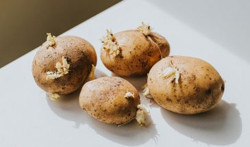 Картофель без мелочи: один разрез — и куст даёт 15 крупных корнеплодов